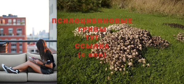 скорость Инсар